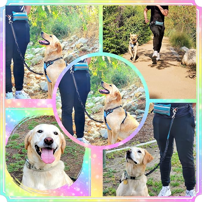 Hands Free Dog Leash with Zipper Pouch, for Medium and Large Dogs, 4Ft 6 Ft, Waist Leash for Dog, Durable Bungee for Walking, Jogging, and Running Your Dog (Large, 25-120 lbs, Blue)