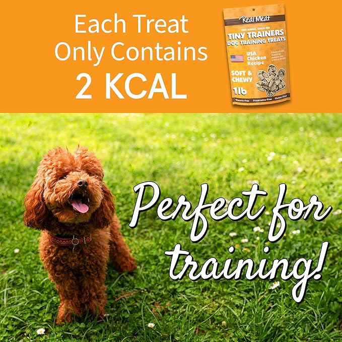 Real Meat Tiny Trainer Bites Dog Treats - 1lb of USA-Made Soft & Chewy Air-Dried Chicken Training Treats for Dogs & Puppies - All-Natural Grain-Free Dog Training Treats w/Free-Range Cage-Free Chicken
