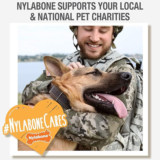 Nylabone Nutri Dent Dog Dental Chews - Natural Dog Teeth Cleaning & Breath Freshener - Dental Treats for Dogs - Filet Mignon Flavor, Mini (32 Count)