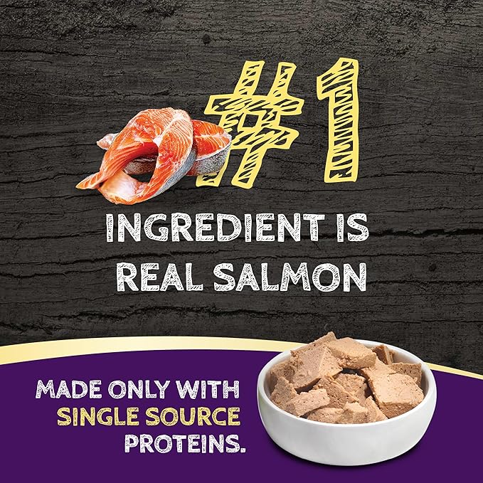Zignature Salmon Limited Ingredient Formula Wet Dog Food 13oz, case of 12