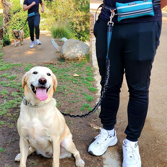 Hands Free Dog Leash with Zipper Pouch, for Medium and Large Dogs, 4Ft 6 Ft, Waist Leash for Dog, Durable Bungee for Walking, Jogging, and Running Your Dog (Large, 25-120 lbs, Blue)