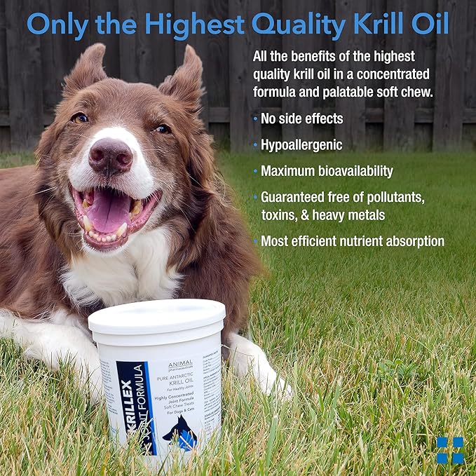 Krillex Joint Formula & Omega 3 Krill Oil for Dogs & Cats - Glucosamine for Dogs - Chondroitin, MSM, & Hyaluronic Acid for Joint Care - Cheese Flavor Chews - 60 ct