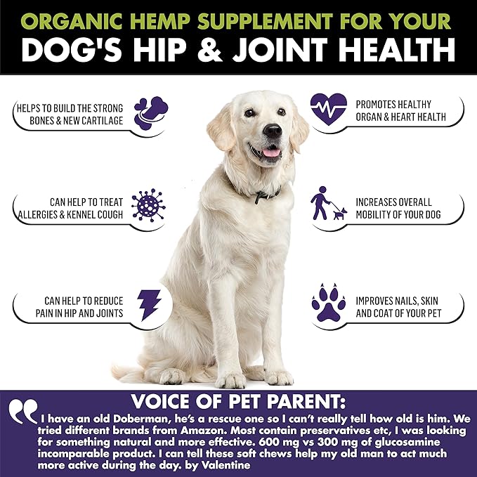 Mobility Hemp Oil Hip & Joint Supplement for Senior Dogs - Chondroitin Glucosamine MSM Turmeric Green Lipped Mussel - Extra Strength Formula for Arthritis Pain Relief & Mobility | 90 Chews