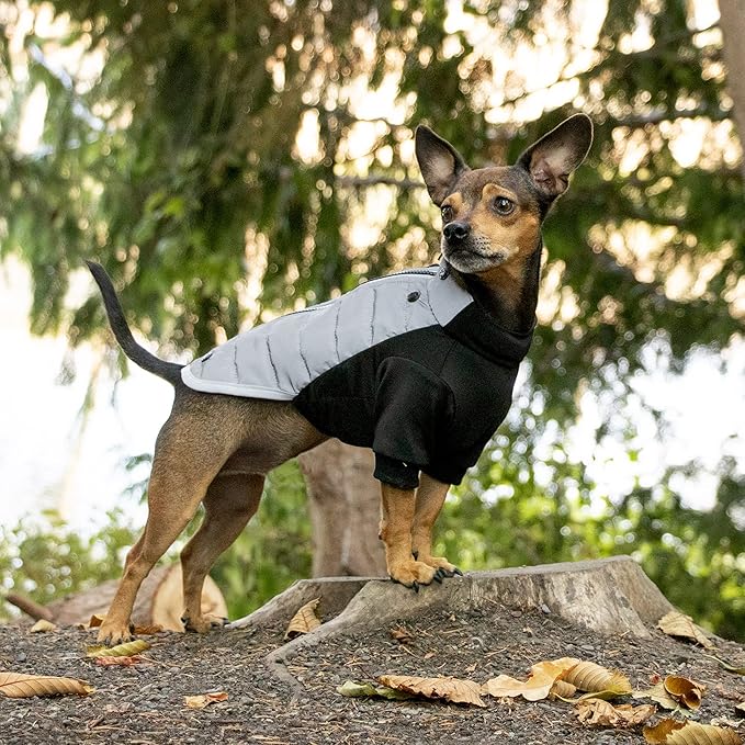 Furhaven Water-Repellent XS Dog Coat, Washable & Reflective w/ Leash Access & Stretch Fabric - Pro-Fit Active Jacket - Chrome, Extra Small