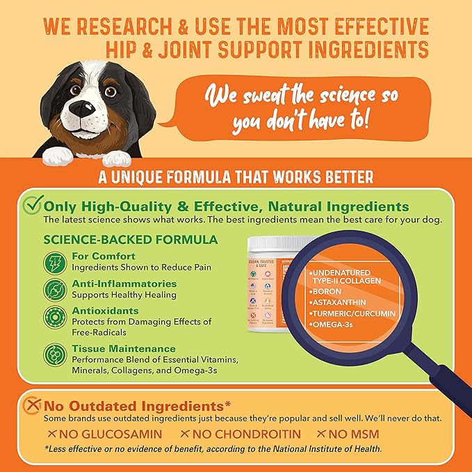 Bernie's Healthy Hips - Daily Dog Hip and Joint Supplement - 90 Soft Chews - Reduce Pain, Encourage Mobility, Slow Damage, Repair and Rebuild Hips and Joint Tissues