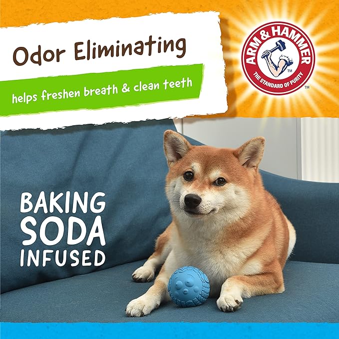 Arm & Hammer for Pets Super Treadz Blowfish Dental Chew Toy for Dogs | Best Dental Dog Chew Toy | Dog Dental Fetch Toys Reduce Plaque & Tartar Buildup Without Brushing | for Dogs up to 25 Lbs