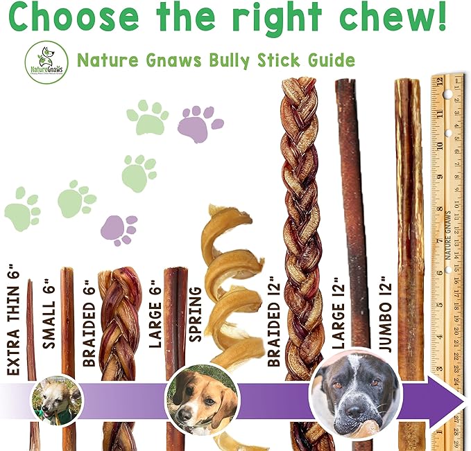 Nature Gnaws - Extra Thin Bully Sticks for Dogs - Premium Natural Beef Bones - Long Lasting Dog Chew Treats for Small Dogs & Puppies - Rawhide Free - 6 Inch
