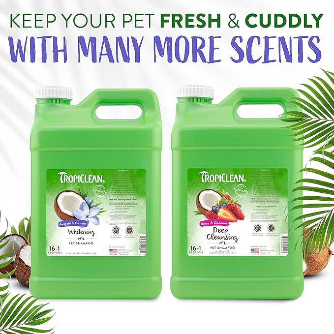 TropiClean Awapuhi Coconut Whitening Dog Shampoo for White Coats & All Coat Types | Natural Pet Shampoo Derived from Natural Ingredients | Cat Friendly | Made in the USA | 2.5 gal.