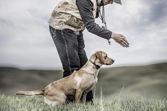 SportDOG SD-425X Electric Training Dog Shock Collar with Remote for Small, Medium, and Large Dogs - 500 Yard Range, Vibration, Tone, Up to 21 Stimulation Levels, Waterproof, Rechargeable E-Collar
