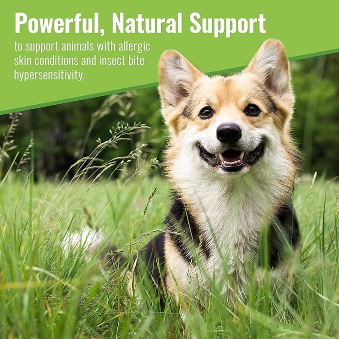 Canine Organic Mushroom Powder Skin and Coat Supplement, 200 Grams (Packaging May Vary)