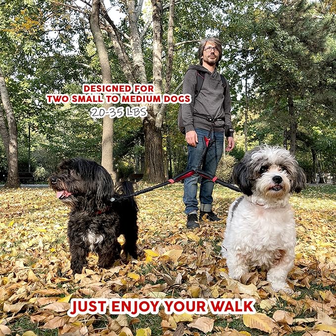 Exquisite Hands Free Double Dog Leash for Small Dogs | Dual Dog Leash | Two Dog Leash No Tangle | Multiple Dog Leash for 2 Dogs | Double Leash | Leash Splitter | Double Clip Leash Coupler
