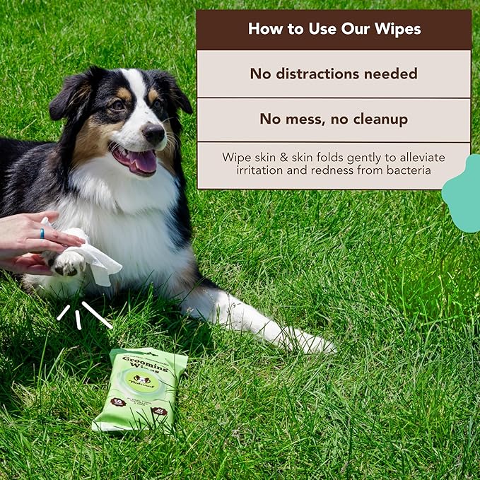 Natural Dog Company Grooming Wipes with Aloe Vera, Cleanses, Soothes, & Deodorizes, Fragrance Free, Hypoallergenic, Biodegradable Wipes - Dog Wipes for Ear, Paws, Face and Butt Wipes (200 Wipes)
