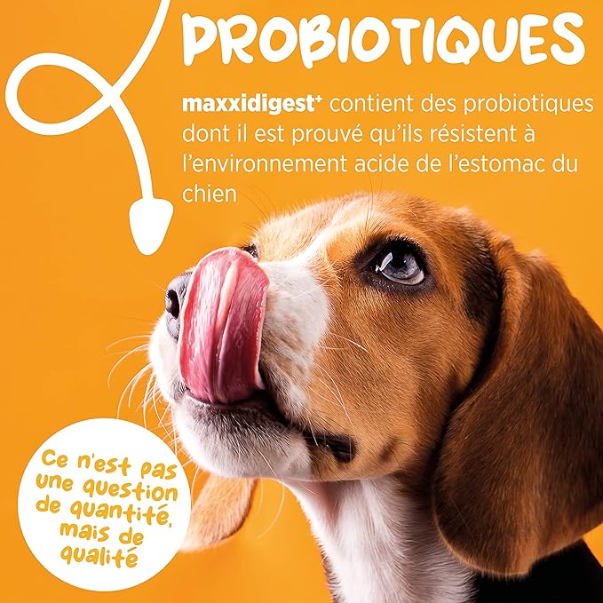 maxxidigest+ Probiotics, Prebiotics and Digestive Enzymes - Digestive and Immune Support Supplement for Dogs – 7 oz