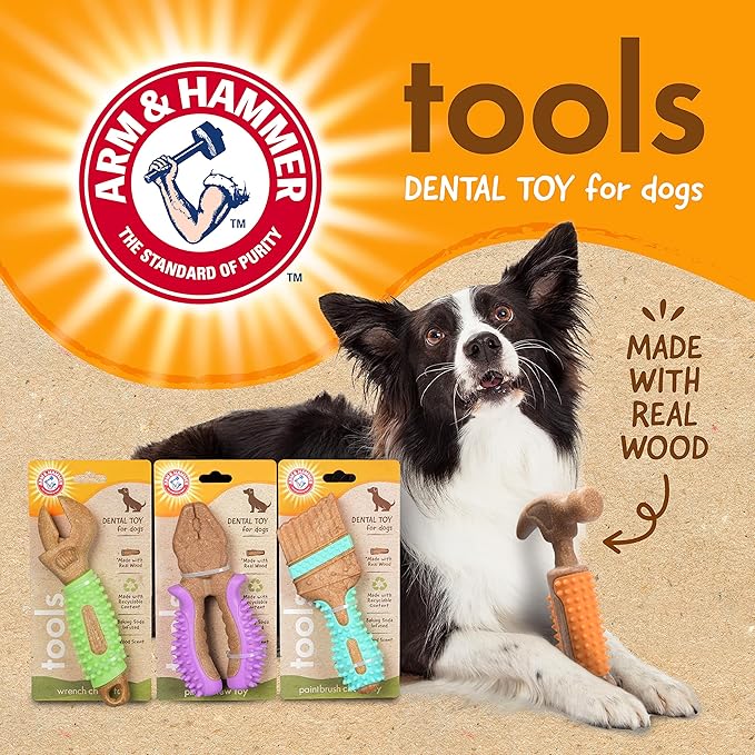 Arm & Hammer for Pets Chew Tools Collection: Wood Blend Paintbrush Chew Toy for Dogs | Compressed Wood Dog Chew Toys with Baking Soda, Safer & Durable Alternative to Chewing Sticks 7.5 Inch