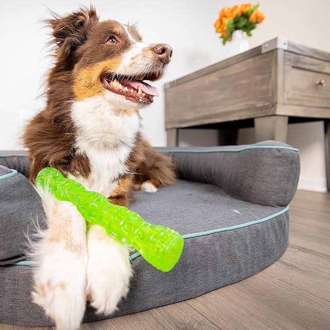 Hyper Pet Dura-Squeaks Stick Dog Toy, Large, Green
