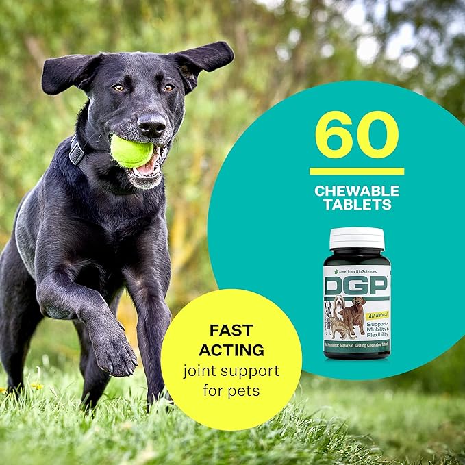 DGP, All-Natural Joint Supplement for Dogs - Joint Support with Turmeric, Boswellia Extract & More - Quick Effect for Immediate Mobility Support - 60 Chewable Pet Tablets