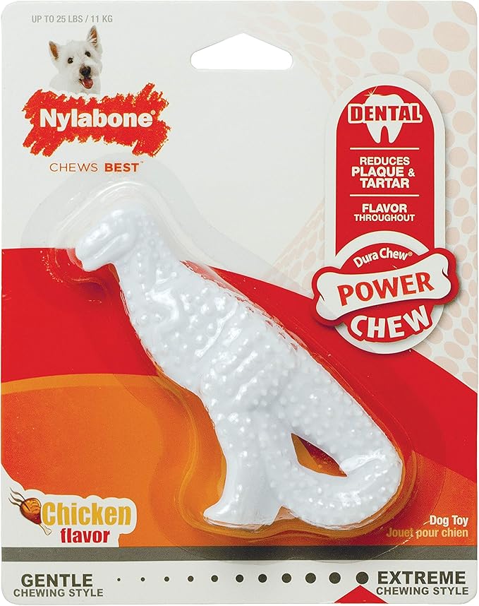 Nylabone Power Chew Dental Chew Toy Durable Dinosaur Dog Toy, Chicken Flavor, Small/Regular (1 Count)