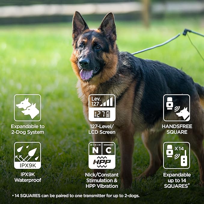 Dogtra ARC HANDSFREE Plus Expandable to 2-Dog Remote Dog Training E-Collar with HANDSFREE Square for Discreet and Precise Control Slim Ergonomic Rechargeable Waterproof 3/4-Mile Range