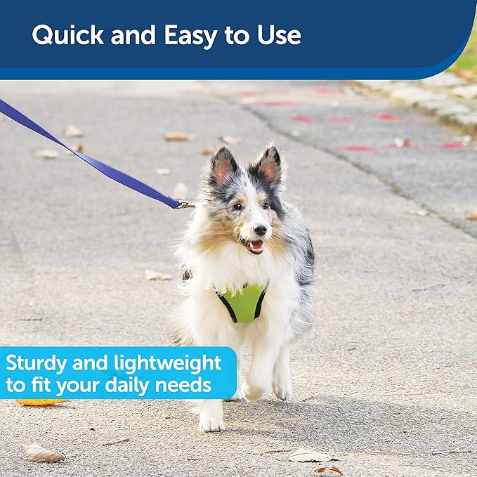 PetSafe Nylon Dog Leash - Strong, Durable, Traditional Style Leash with Easy to Use Bolt Snap - 3/4 in. x 6 ft., Royal Blue