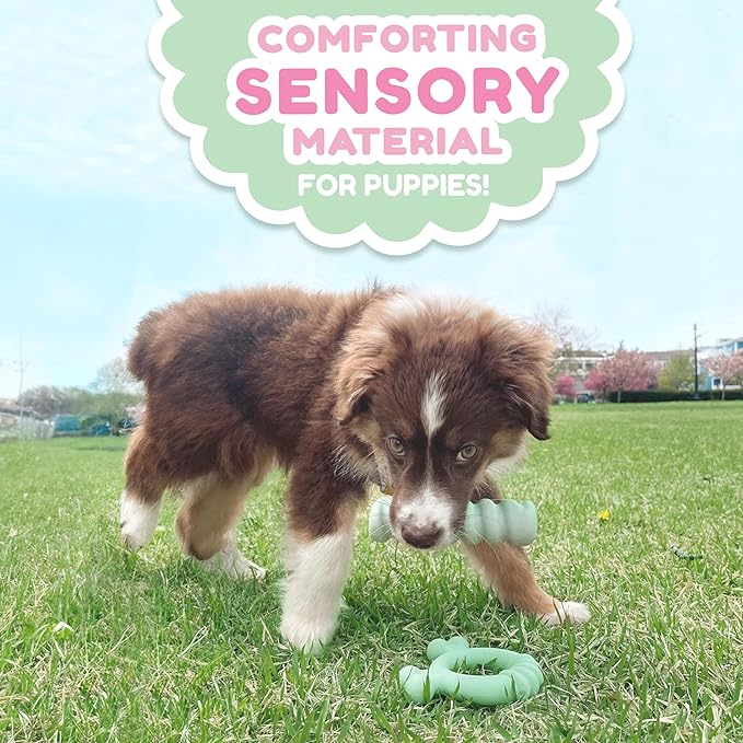 Nylabone Sensory Material Puppy Chew Toys Bundle - Puppy Teething Toys for Boredom & Stimulation - Puppy Supplies - Allergen-Free Peanut Butter and Chicken Flavor, Small/Regular (2 Count)