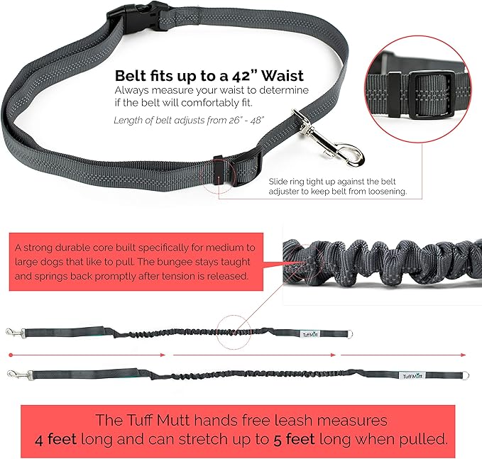 Hands Free Dog Leash, A Dog Running Leash for Dogs That Makes A Great Waist Leash for Dog Walking, Double Handle Bungee Dog Leash with Reflective Stitching and Adjustable Dog Walking Belt