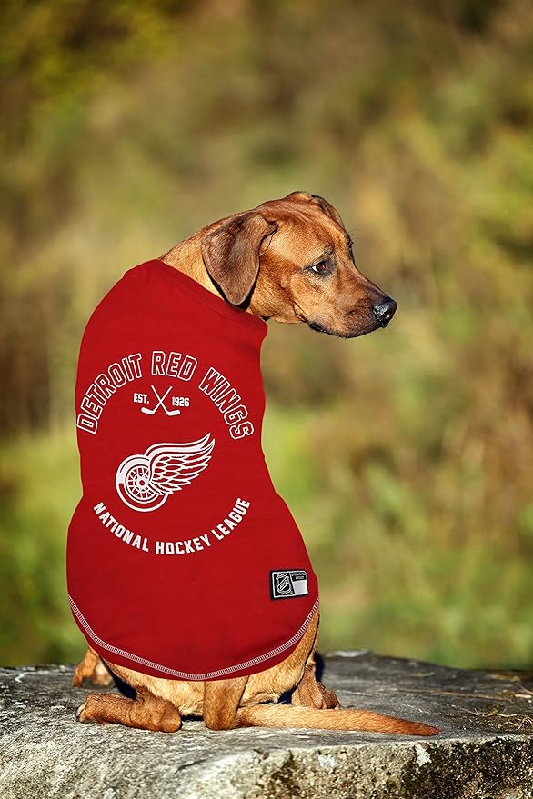 Pets First NHL Detroit Red Wings Tee Shirt for Dogs & Cats, Medium. - are You A Hockey Fan? Let Your Pet Be an NHL Fan Too! (Pack of 2)