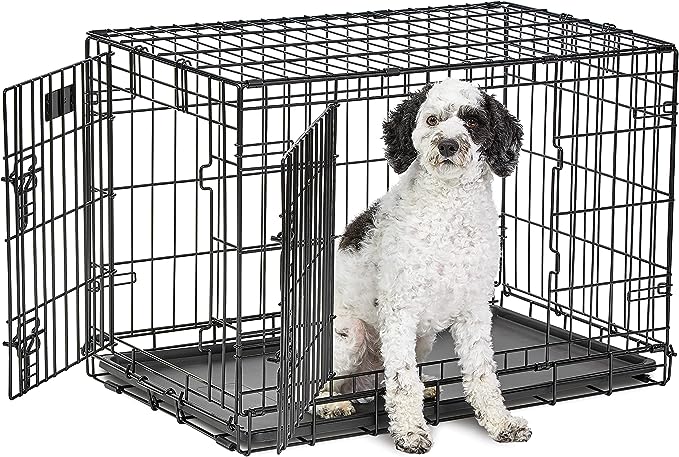 Medium Dog Crate | MidWest Life Stages 30" Double Door Folding Metal Dog Breed Crate | Divider Panel, Floor Protecting Feet & Dog Pan | 30.6L x 19.3W x 21.4H Inches