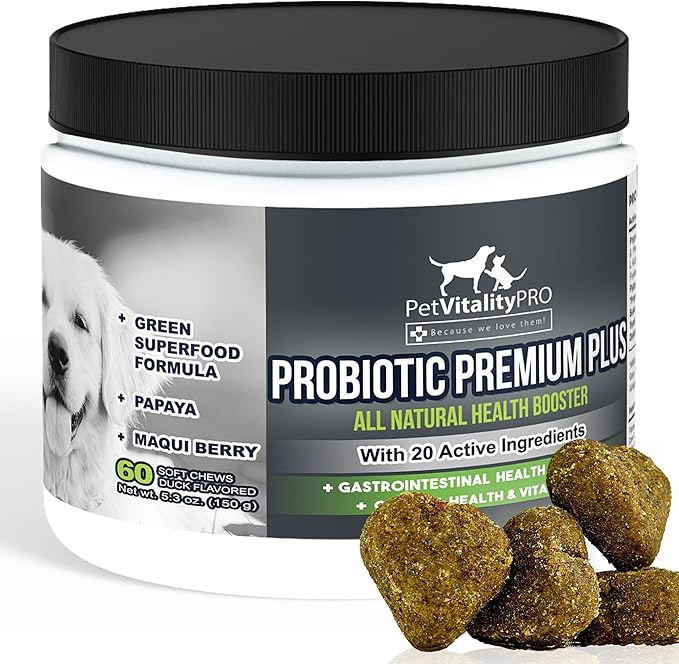 Probiotics for Dogs with Natural Digestive Enzymes ● 4 Bill CFUs/2 Soft Chews ● Dog Diarrhea Upset Stomach Yeast Gas Bad Breath Immunity Allergies Skin Itching Hot Spots ● 60 Count