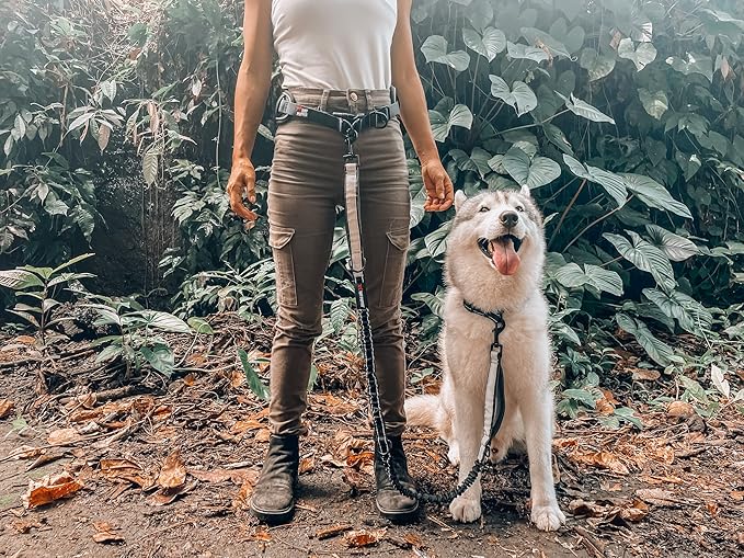Tuff Pupper Heavy Duty Hands Free Dog Leash | One Large Dog Up to 125 lbs | Comfortable Shock Absorbing Bungee | Reflective Padded Handles | Lumbar Waist Belt 22-45" | Walking Jogging Running Leash