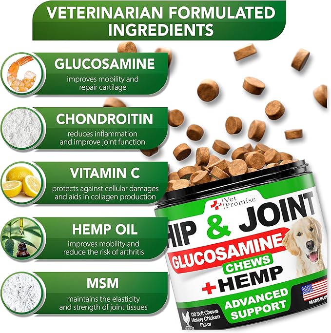 Hemp Hip and Joint Support Supplement for Dogs - Glucosamine for Dogs - Dog Joint Supplement - Hip and Joint Chews for Dogs with Chondroitin - MSM - Hemp Oil - Hemp Chews For Dogs - Dog Pain Relief