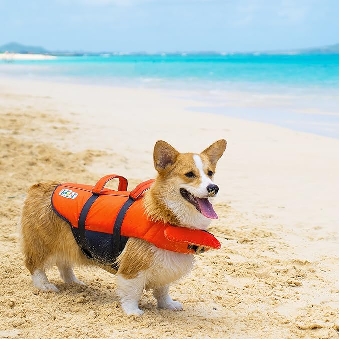 Outward Hound Granby Splash Orange Dog Life Jacket, XS