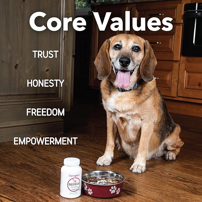 In Clover Optagest Organic Prebiotic and Natural Enzyme Powder for Healthy Stools and Less Gas, Without Foreign Probiotics. Immune Support and Digestive Enzymes for Dogs and Cats, 7sticks
