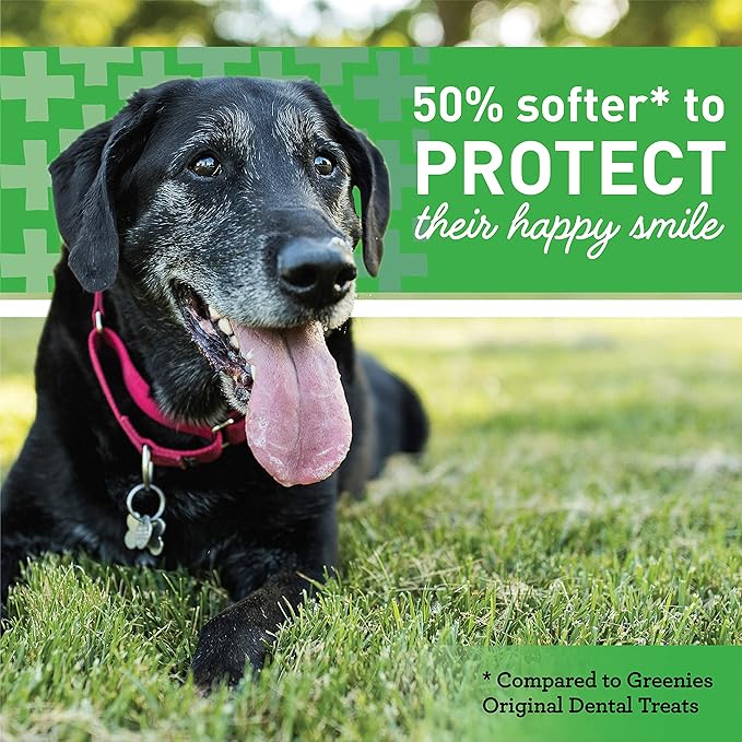 Greenies Aging Care Petite Natural Dental Care Dog Treats, 27 oz. Pack (45 Treats)
