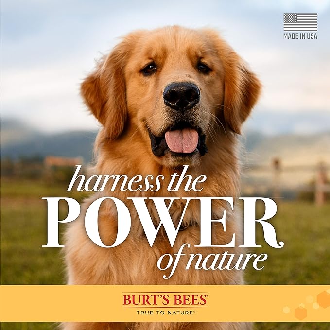 Burt's Bees for Pets Naturally Derived Ear Cleaner with Peppermint and Witch Hazel - Effective & Gentle Dog Ear Cleaning Solution for All Dogs And Puppies - Made in USA, 4 Oz - 2 Pack