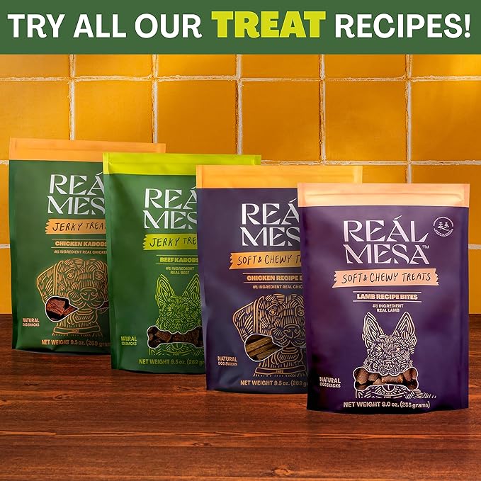 Real Mesa Beef Kabob Treats for Dogs - Dog Jerky - All-Natural, High-Protein Beef Dog Treats - Delicious & Healthy Dog Beef Jerky Snacks (9.5oz)