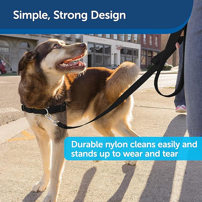 PetSafe Nylon Dog Leash - Strong, Durable, Traditional Style Leash with Easy to Use Bolt Snap - 3/4 in. x 4 ft., Black