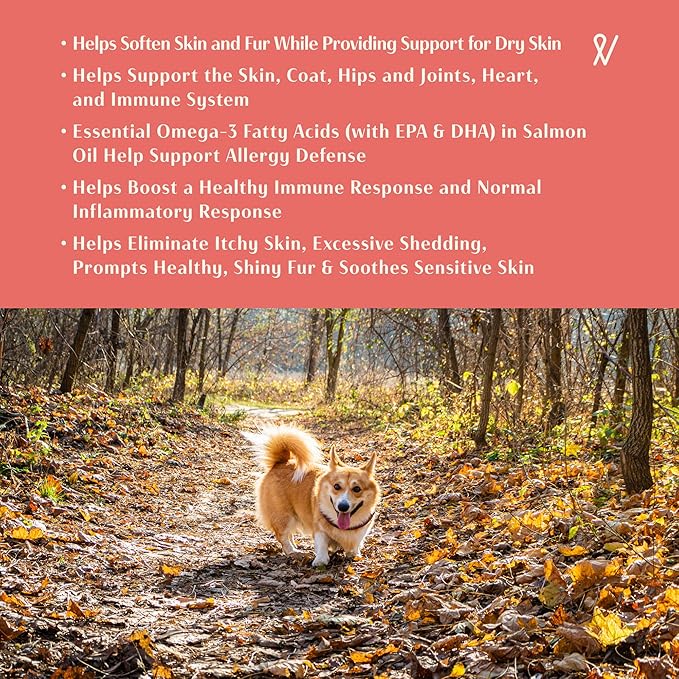 2024 Everpath Upgraded Salmon Oil Omega 3 Boost for Dogs and Cats - 16 Fluid Ounces/473mls | USA Made | Supports Coat, Skin, and Immune System | Norwegian Salmon Oil for Pets | Natural Solution