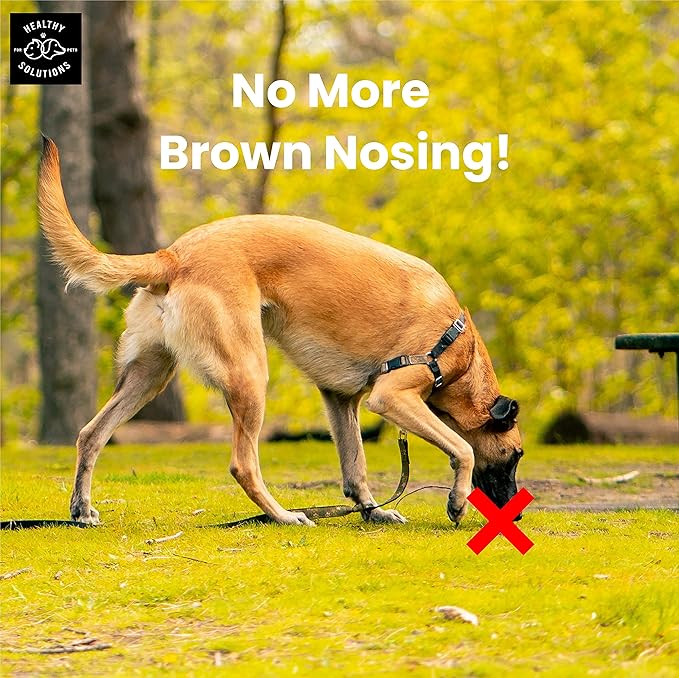 Deterrent for Dogs Eating Poop - Coprophagia No Poo Chews Prevent Dog from Eating Stool - Chew Enhanced with Breath Freshener, Enzymes, & Probiotics to Help Ease and Stop This Nasty Habit | 120ct