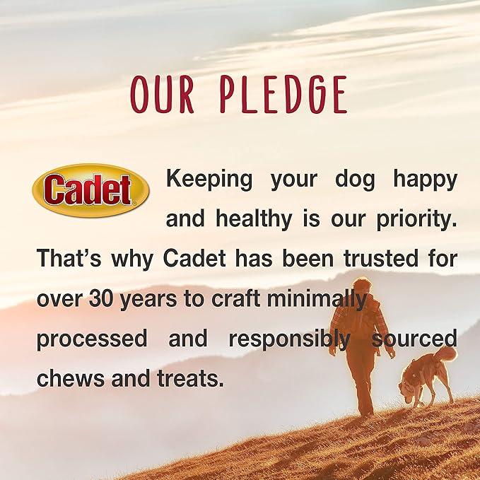 Cadet Premium Grade Beef Hide for Dogs, Long Lasting Rawhide Twist Chew Sticks, Natural Dog Chews, 5 Inch Dog Bones (34 Count)
