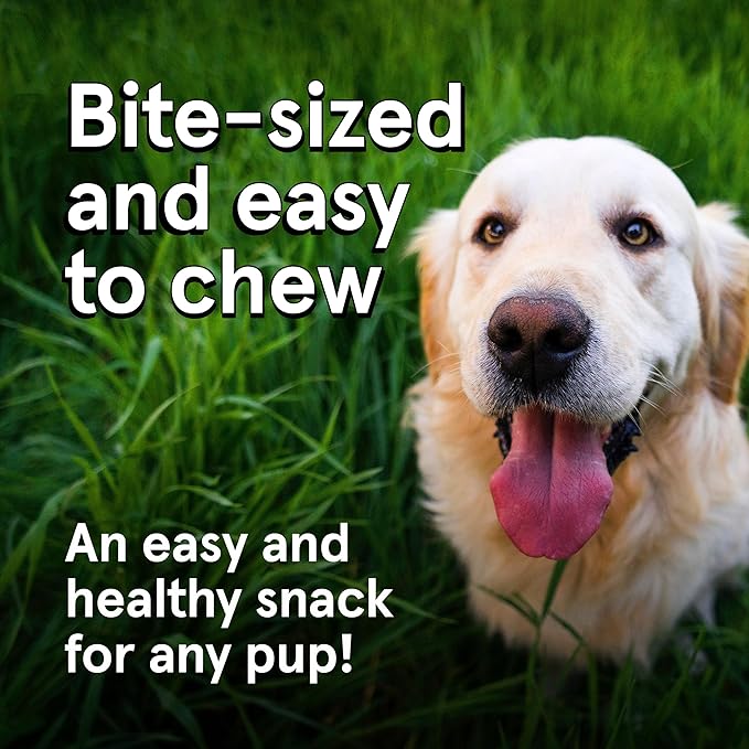 Real Meat Dog Treats - Two 12oz Bag of Bite-Sized Air-Dried Venison & Chicken Jerky for Dogs - Grain-Free Jerky Dog Treats with 95% Human-Grade, Free-Range Venison & Chicken - All-Natural Dog Treats