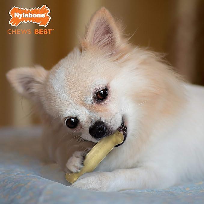 Nylabone FlexiChew Moderate Dog Toys Triple Pack Bacon, Peanut Butter & Beef X-Small/Petite (1 Count)