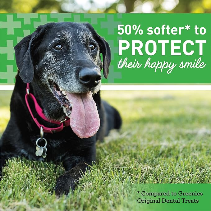 Greenies Aging Care Regular Natural Dental CareDog Treats, 27 oz. Pack (27 Treats)