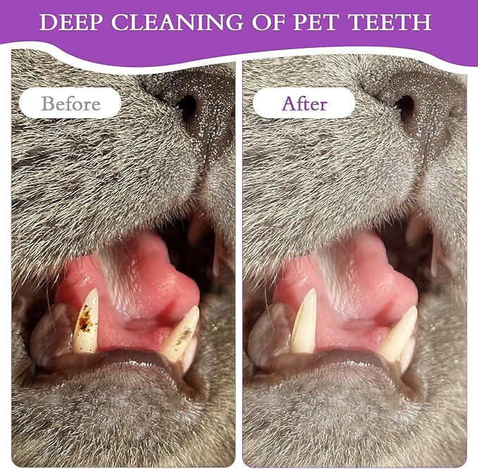 4 Pack Dual Sided Cat Dog Toothbrush, Kitten Puppy Toothbrush Pet Teeth Cleaning Brush with Micro Brush Head Anti Slip Curved Handle Eliminates Bad Breath Reduces Plaque Tartar Formation