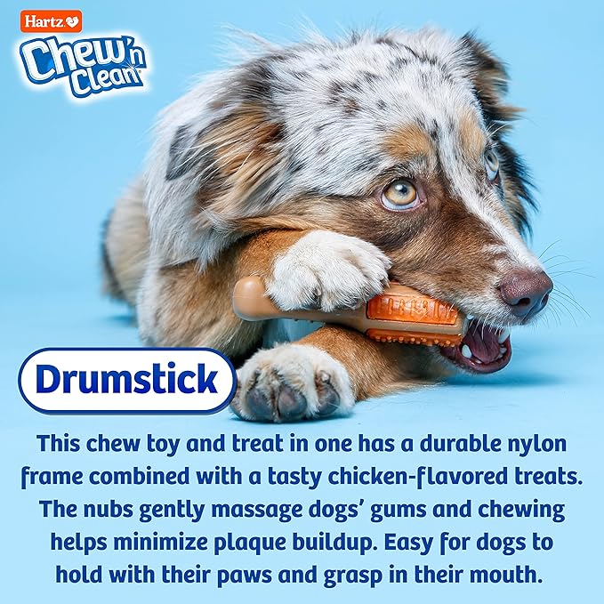 Hartz Chew ‘n Clean Chew Toy and Treat in One Chicken Flavored Drumstick Dog Toy, Small (Pack of 2)