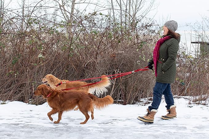 Furhaven Two Tails Walking Tangle-Free Dual Dog Leash - Ruby Red, One Size