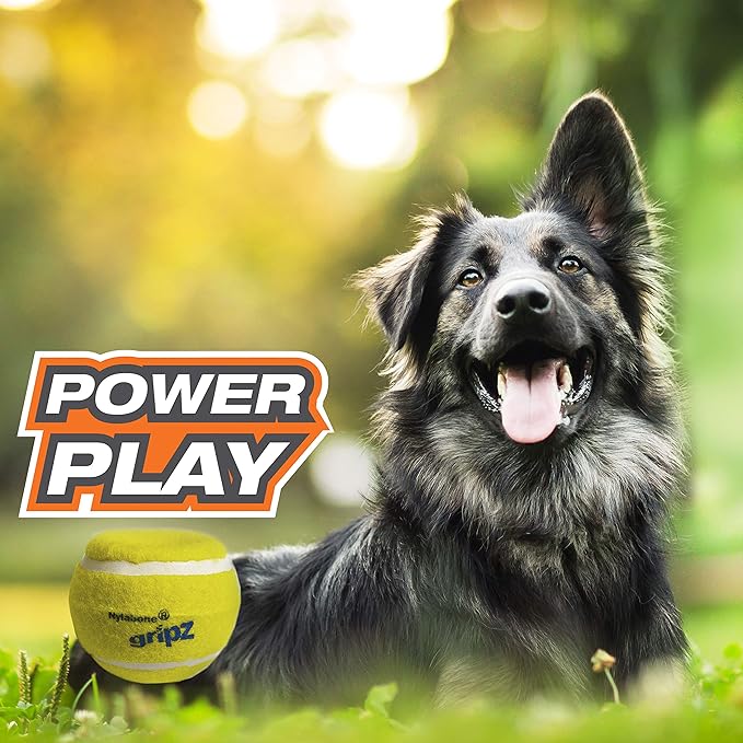 Nylabone Power Play Tennis Gripz Fetch Toy, Squeaky Tennis Ball Chew Toy for Dogs, Large (2 Count)