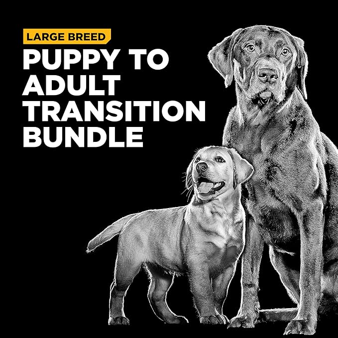 Bundle of Go! Solutions Skin + Coat Care - Dry Dog Food for Puppy, 12lb and Go! Solutions Skin + Coat Care - Dry Dog Food for Adult, 25lb