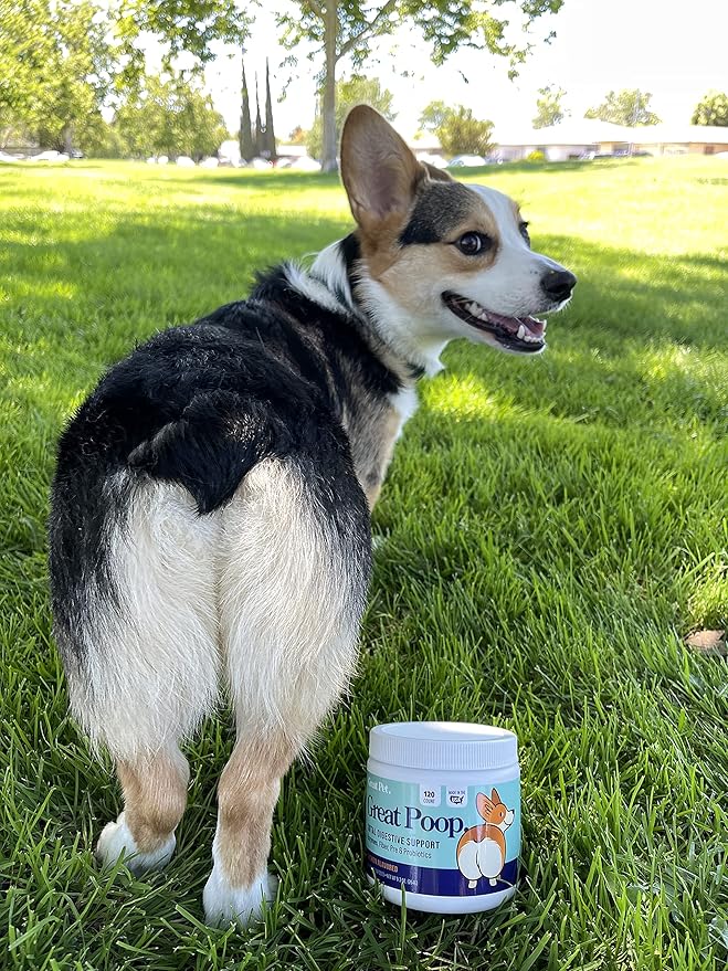 Great Poop Probiotics for Dogs - Fiber for Dogs Supplement with Dog Probiotics and Digestive Enzymes for a Healthy Gut, Firm Stool & Diarrhea Relief - Chicken Flavored Pet Soft Chews with Prebiotics