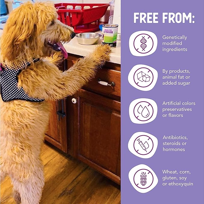 Health Extension Wet Dog Food, Gluten and Grain-Free, Healthy Natural Food Canned for Puppies, Chicken Recipe