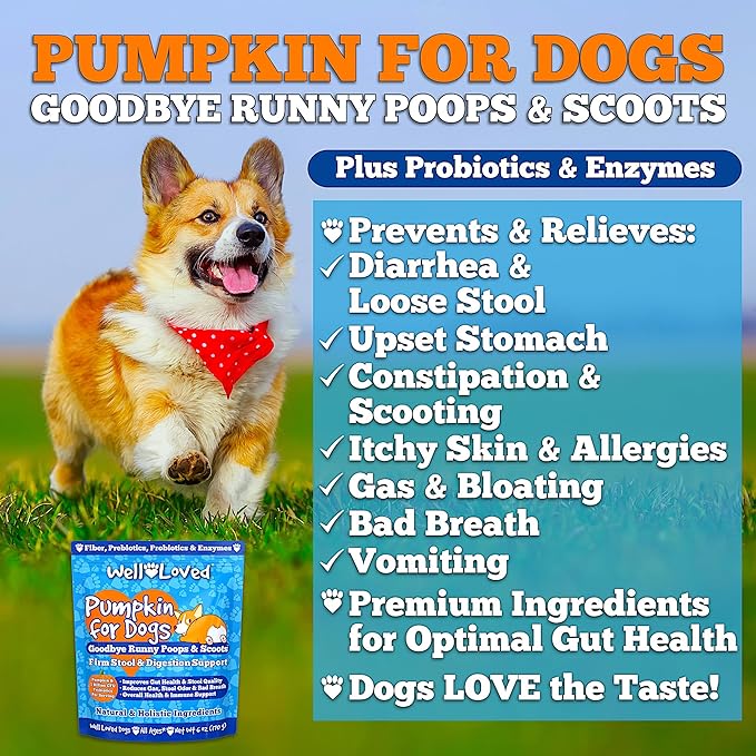 Pumpkin for Dogs - Pumpkin Puree, Canned Pumpkin (Alternative), Fiber for Dogs, Probiotic Powder, Pumpkin Powder, Dog Diarrhea, Digestive Support, Perfect for Firm Poops and No Scoots, 6 oz
